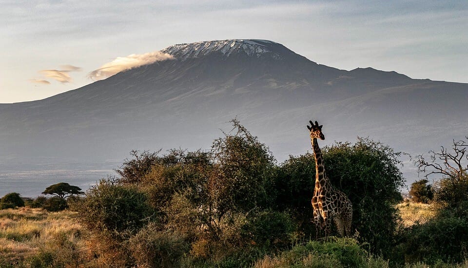 Kilimandjaro Afrique