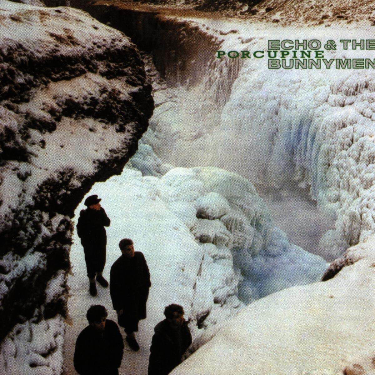 Porcupine by Echo and the Bunnymen