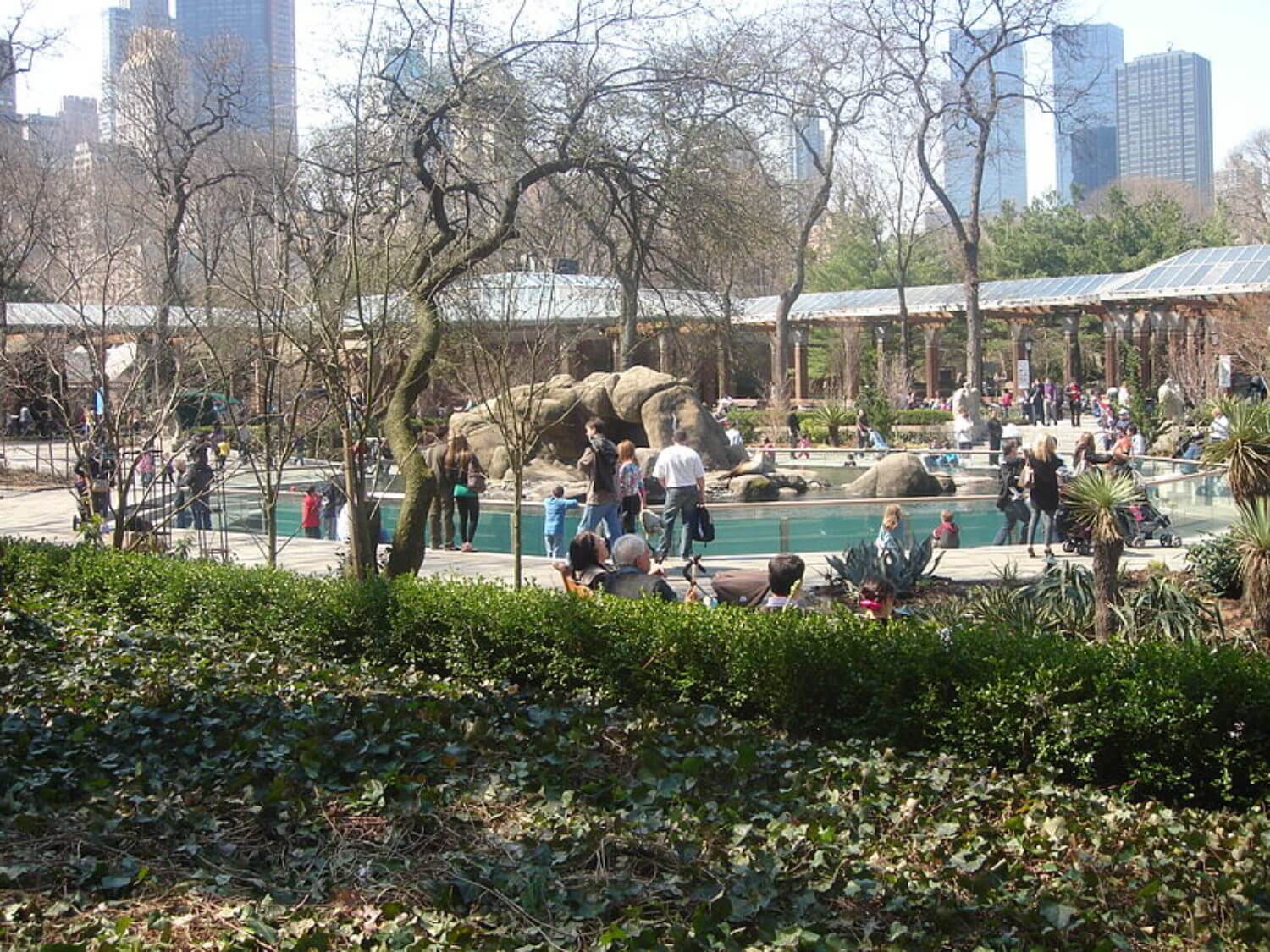 Central Park Zoo - Photo credit: Tim Rodenberg on Wikimedia Commons