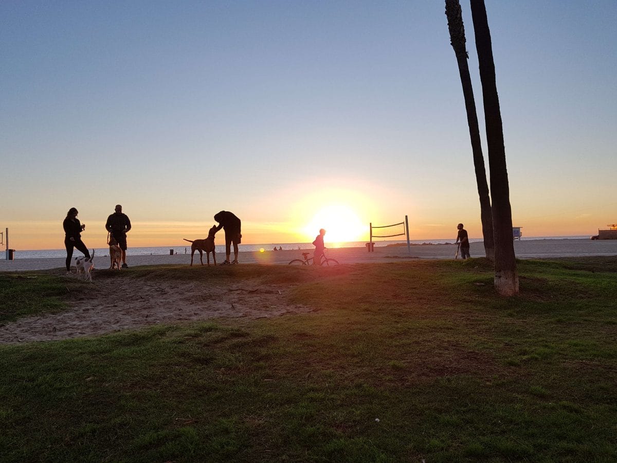 Venice Beach Sunset